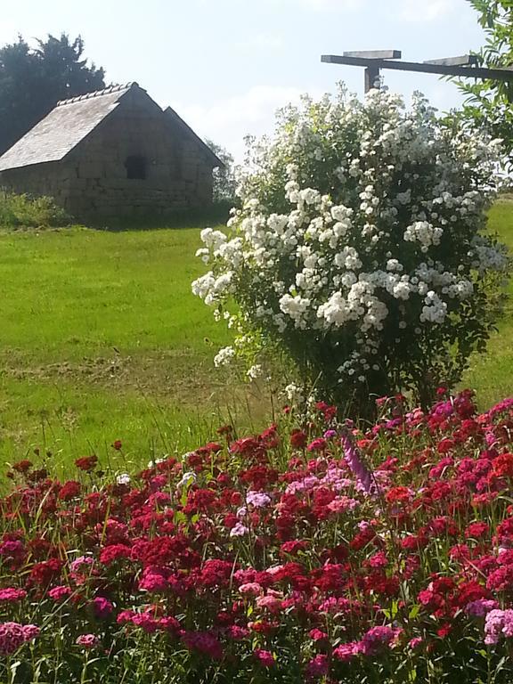 مبيت وإفطار Maen Roch Manoir De La Branche المظهر الخارجي الصورة