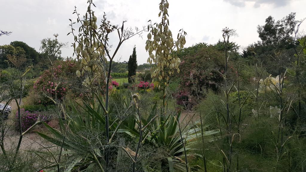 مبيت وإفطار Maen Roch Manoir De La Branche المظهر الخارجي الصورة